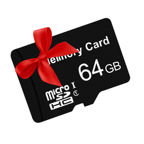 SD Memory Card